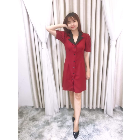 Đầm cổ vest 2